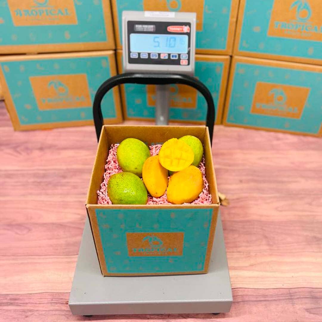 Coconut Cream Mango Box - Tropical Fruit Box