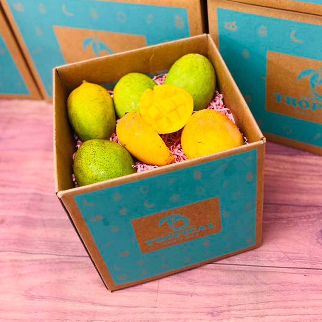 Coconut Cream Mango Box Fruits & Vegetables Tropical Fruit Box Small (5 Pounds) 