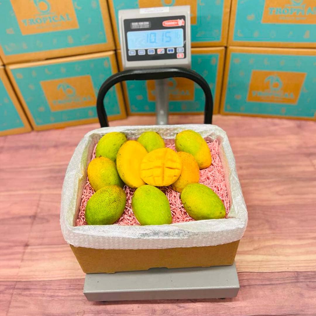 Coconut Cream Mango Box Fruits & Vegetables Tropical Fruit Box 