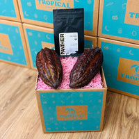 Thumbnail for Cacao & Coffee Box GoogleON Tropical Fruit Box 