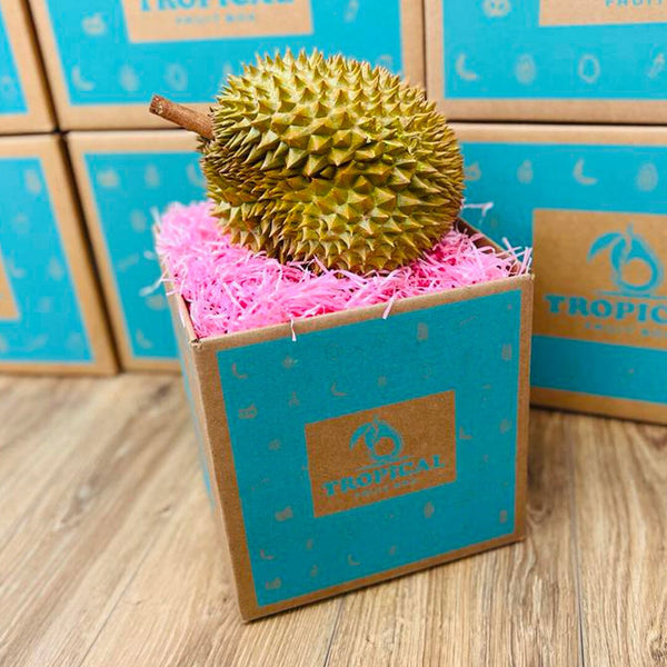 Durian1ct2_grande.jpg?v=1713706316