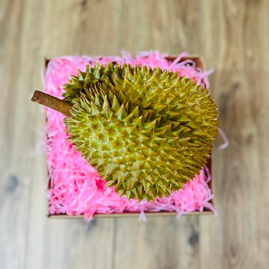 Durian 1