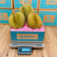 Thumbnail for Durian in a box
