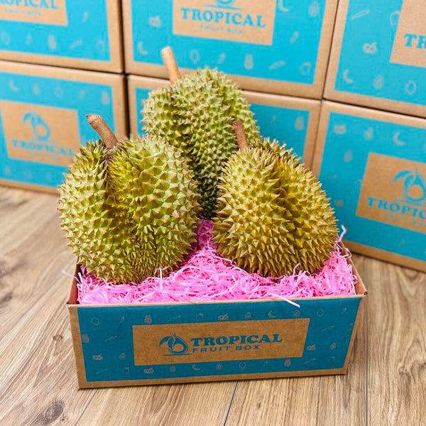 Fresh Durian