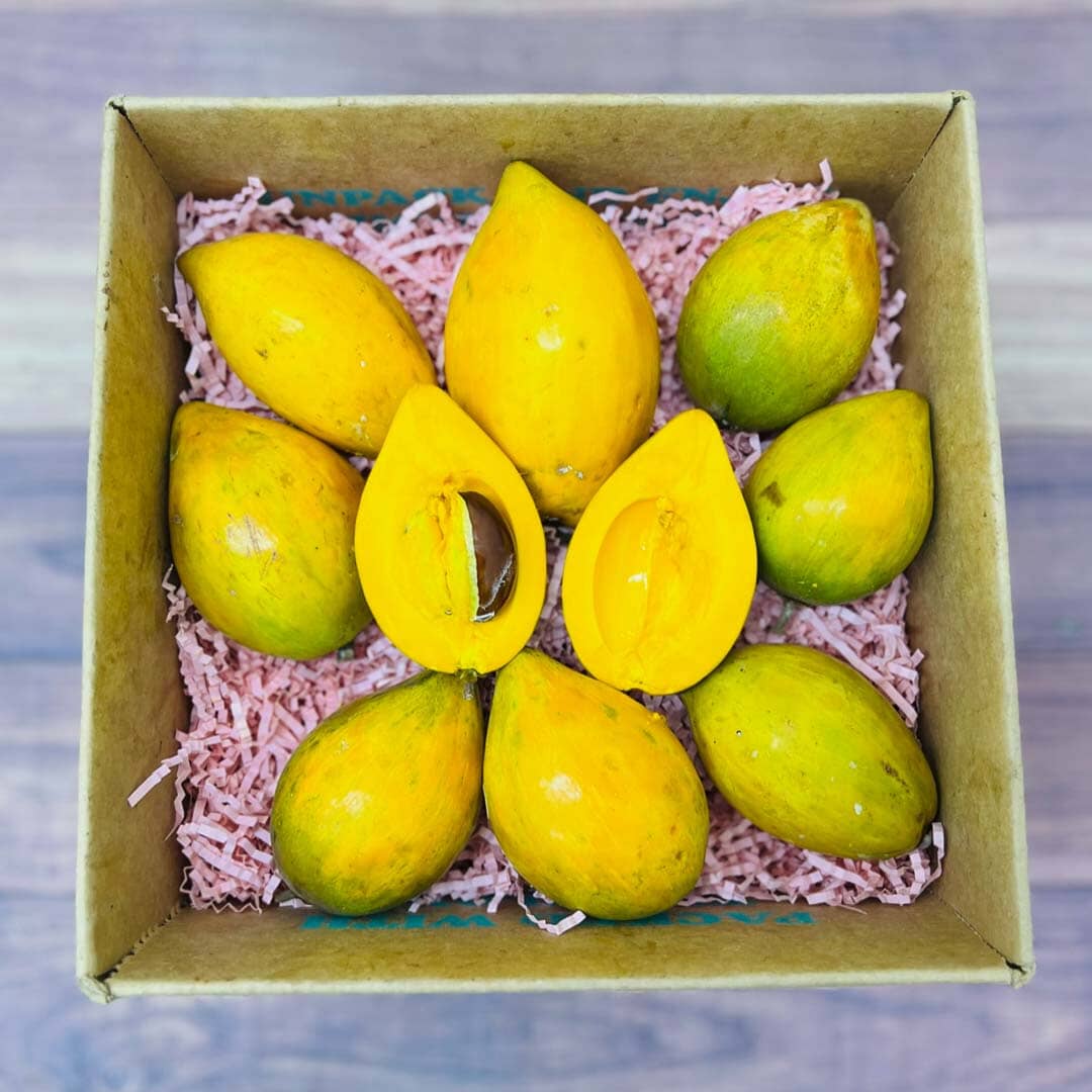 Eggfruit | Canistel | Yellow Sapote Box Specialty Box Tropical Fruit Box Small Box (3 Pounds) 