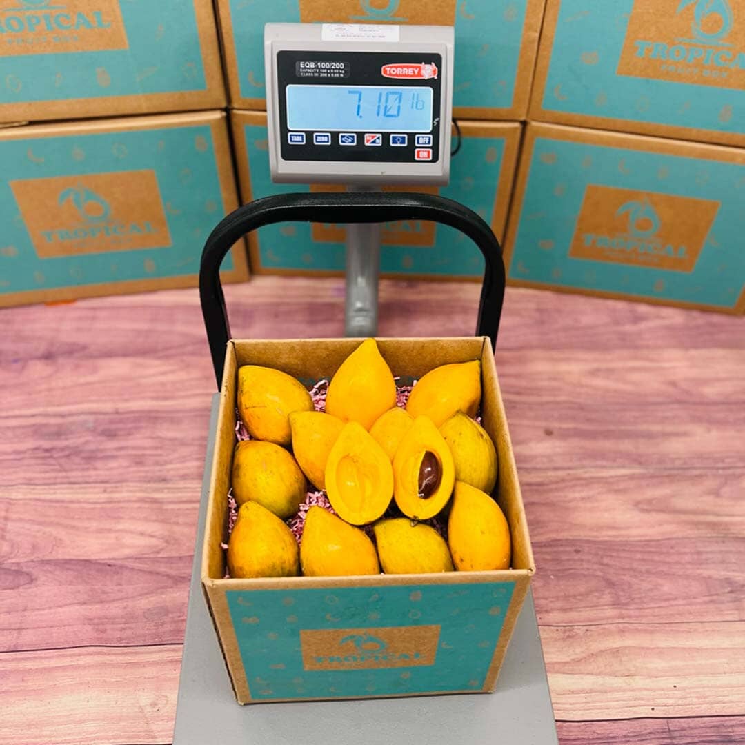 Eggfruit | Canistel | Yellow Sapote Box - Small Box (3 Pounds ...
