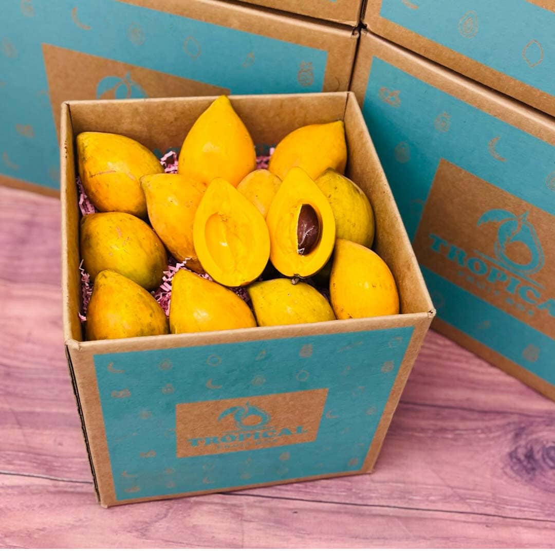 Eggfruit | Canistel | Yellow Sapote Box Specialty Box Tropical Fruit Box Regular Box (5 Pounds) 
