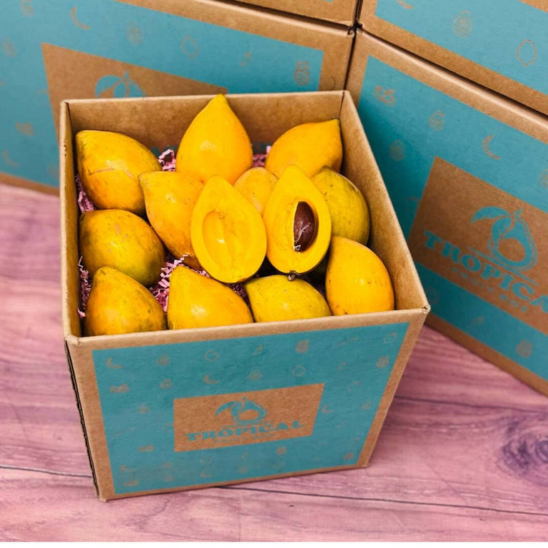 All Tropical and Exotic Fruits and Roots Page 2 Tropical Fruit Box