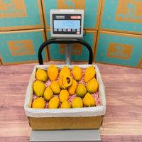 Thumbnail for Eggfruit | Canistel | Yellow Sapote Box Specialty Box Tropical Fruit Box 