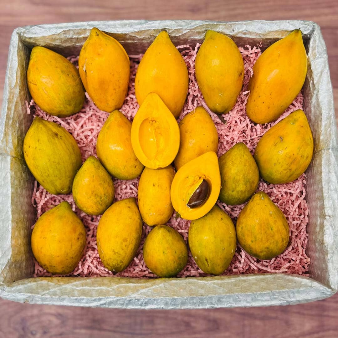 Eggfruit | Canistel | Yellow Sapote Box Specialty Box Tropical Fruit Box 