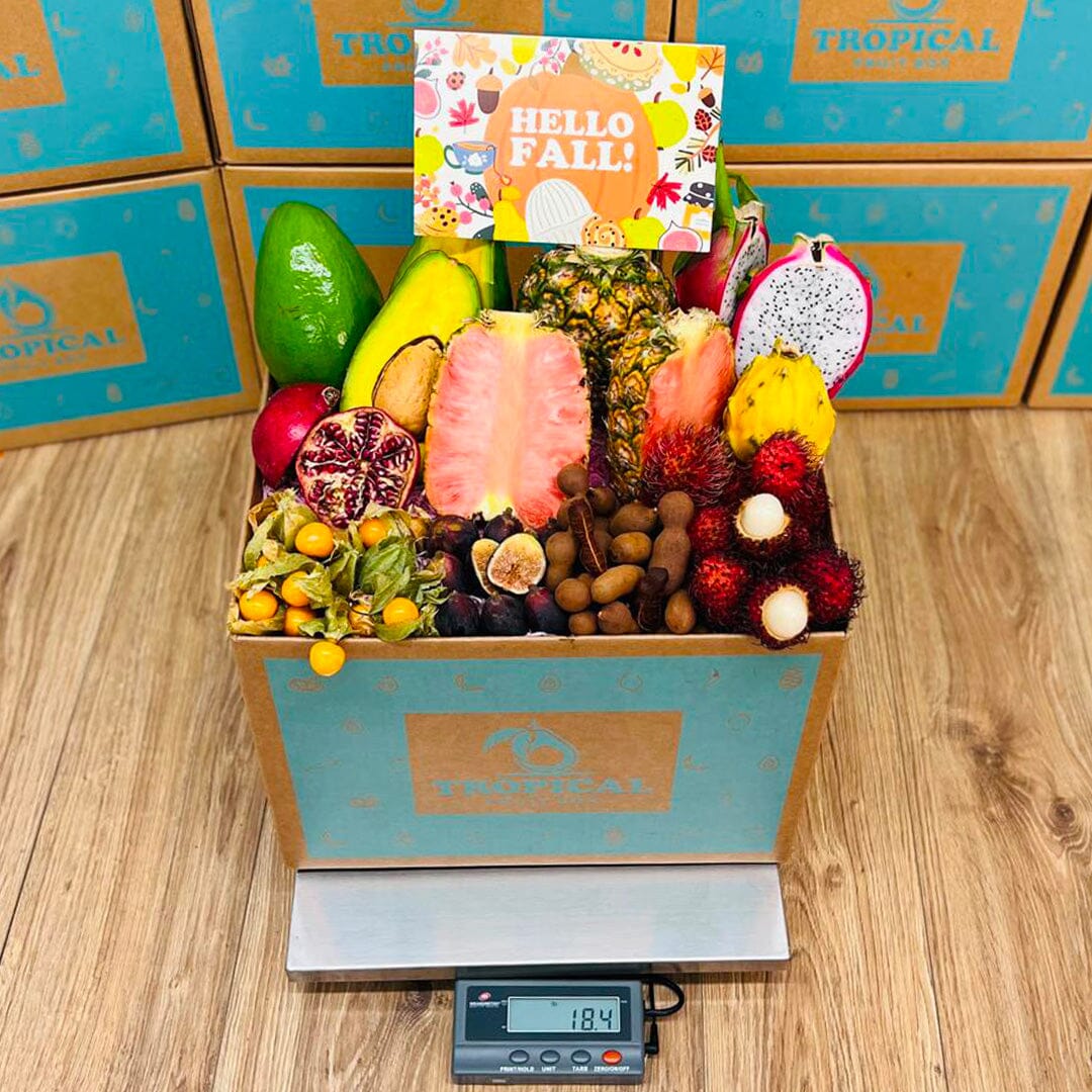 Tropical Fall Fruit Feast Box Specialty Box Tropical Fruit Box 