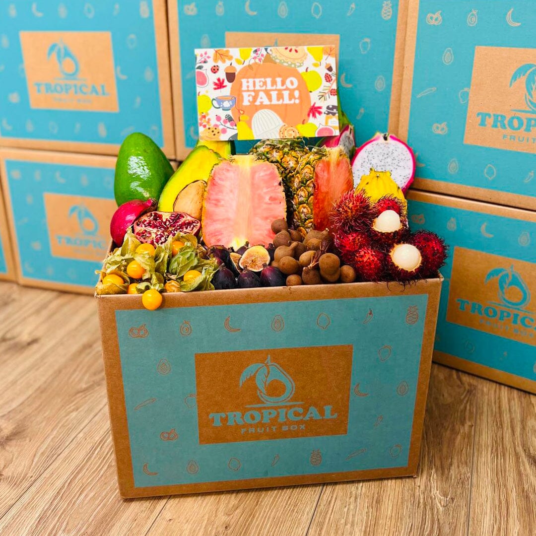 Tropical Fall Fruit Feast Box Specialty Box Tropical Fruit Box Large (16lbs) 