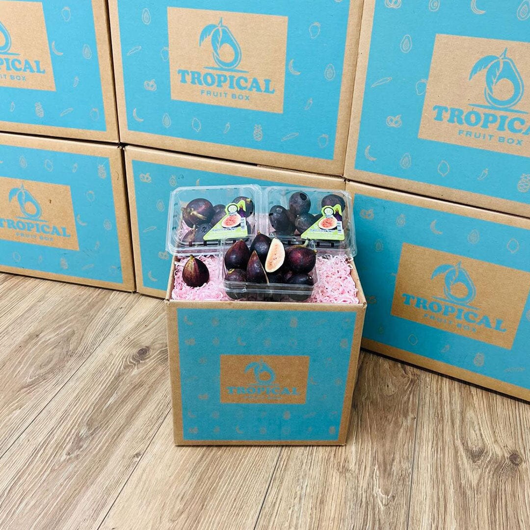 Fresh Black Mission Fig Box Figs Tropical Fruit Box 