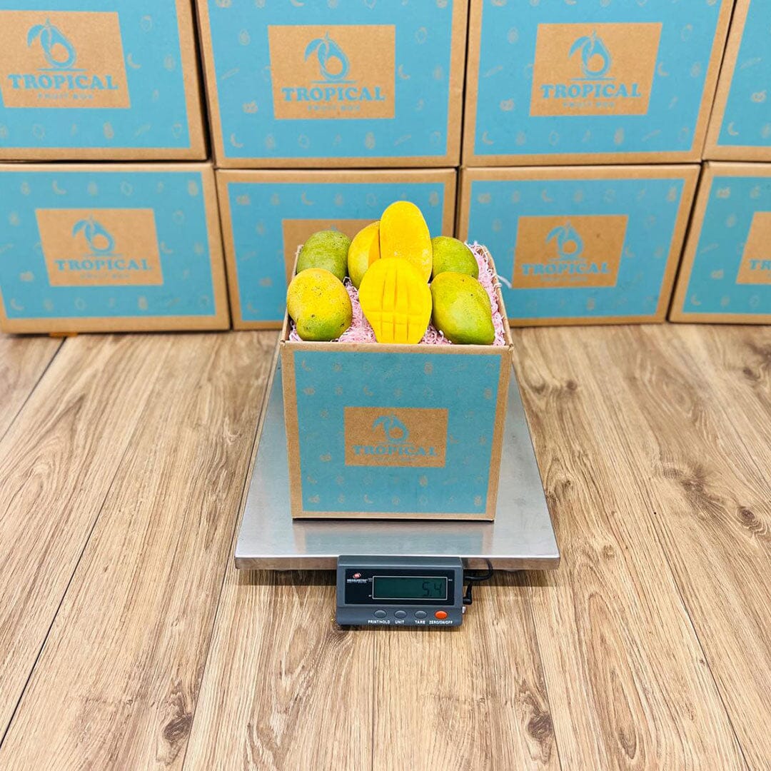 Francine Premium Mango Box GoogleON Tropical Fruit Box 