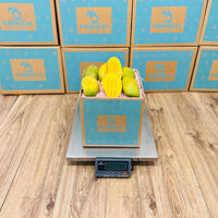 Thumbnail for Francine Premium Mango Box GoogleON Tropical Fruit Box 