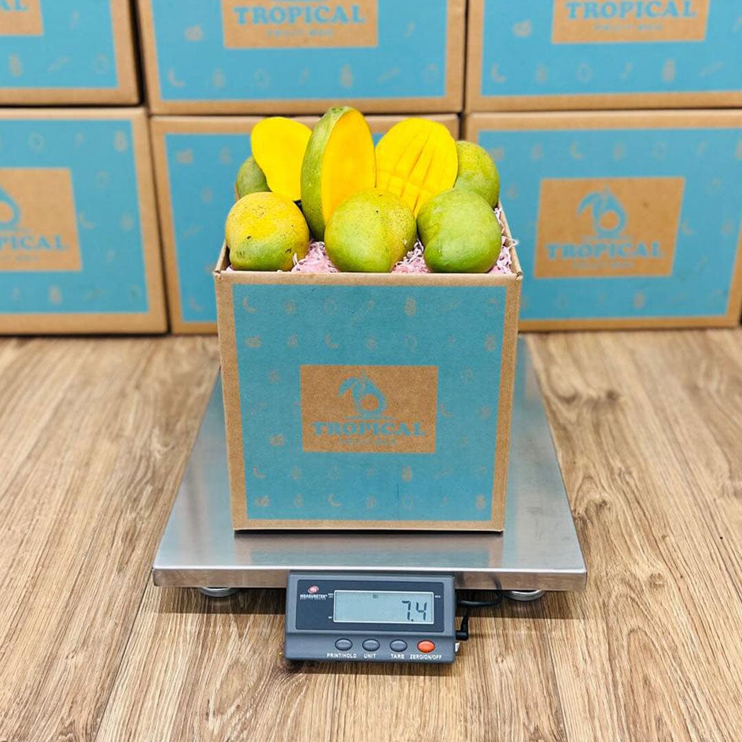 Francine Premium Mango Box GoogleON Tropical Fruit Box 