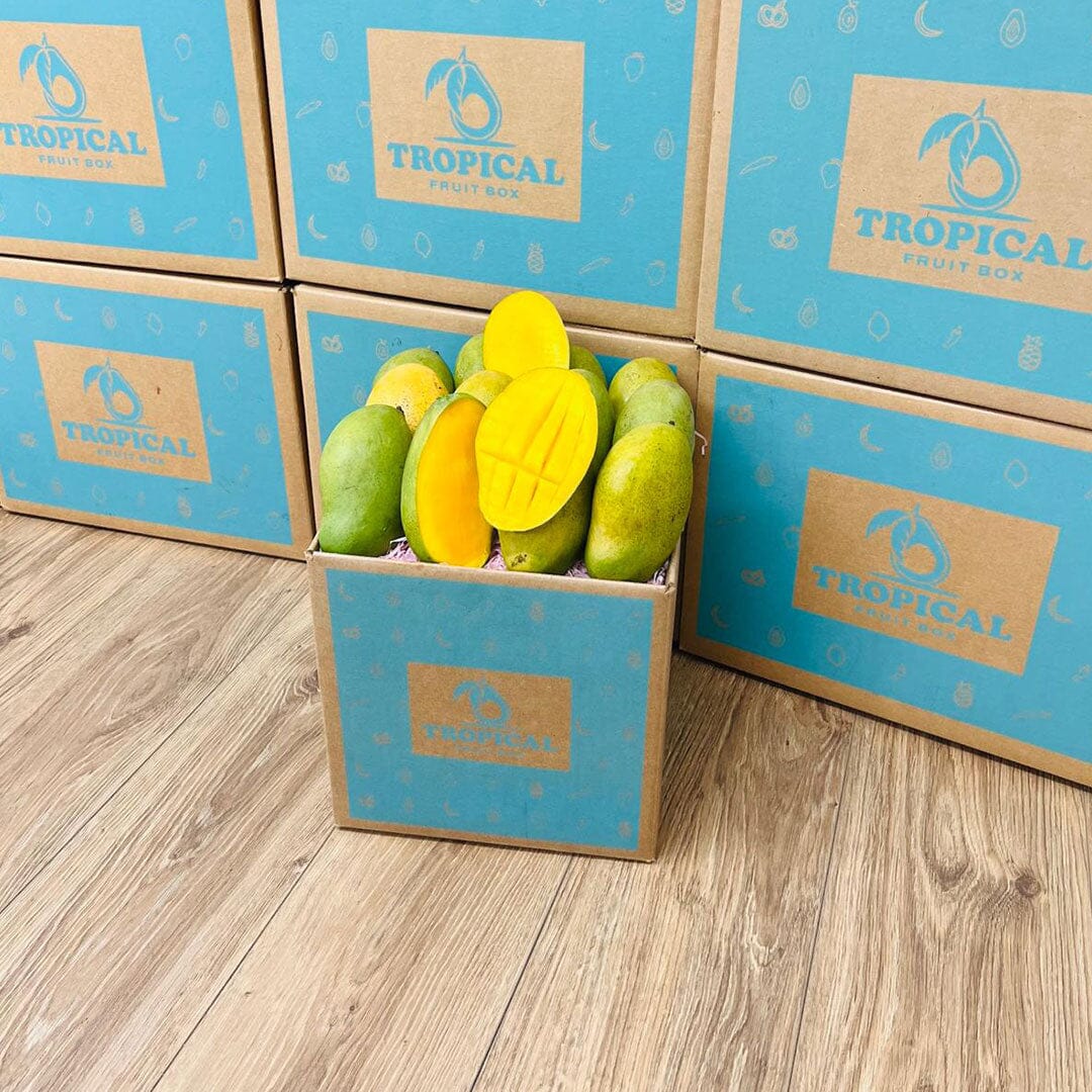 Francine Premium Mango Box GoogleON Tropical Fruit Box 