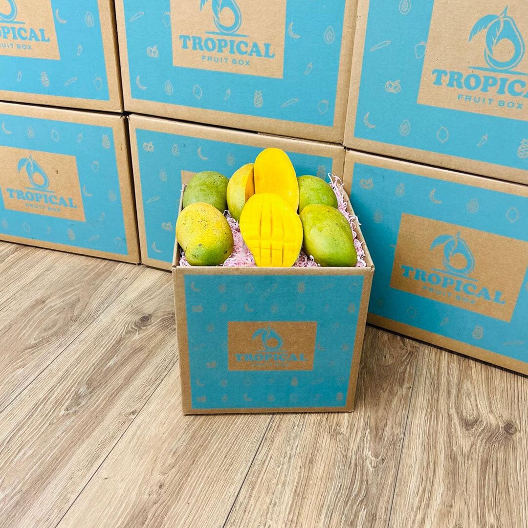 Francine Premium Mango Box GoogleON Tropical Fruit Box 