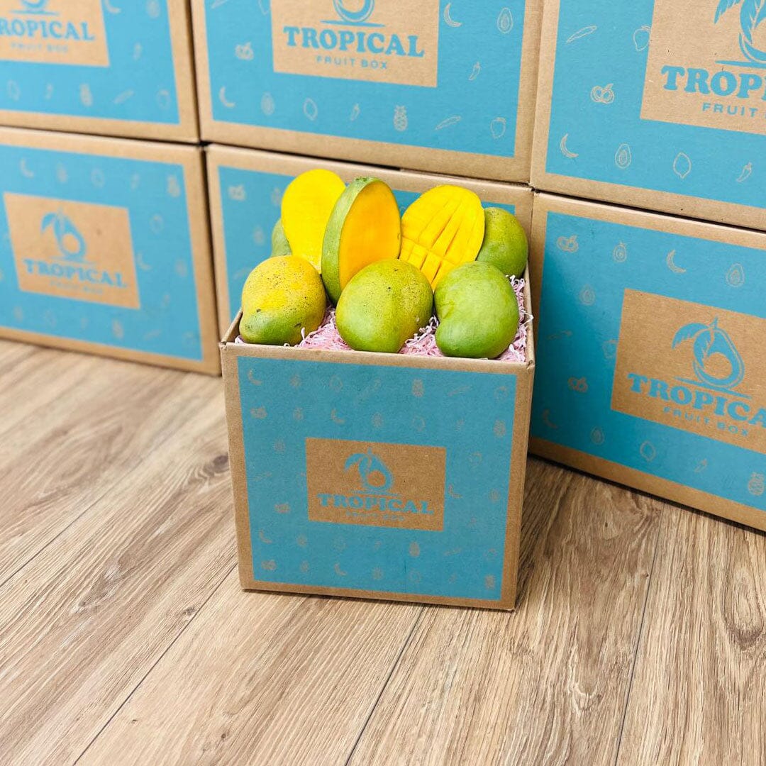 Mango Instrument Box Francine Premium Mango Box - Order the King of Mangos Today - Small Box ...