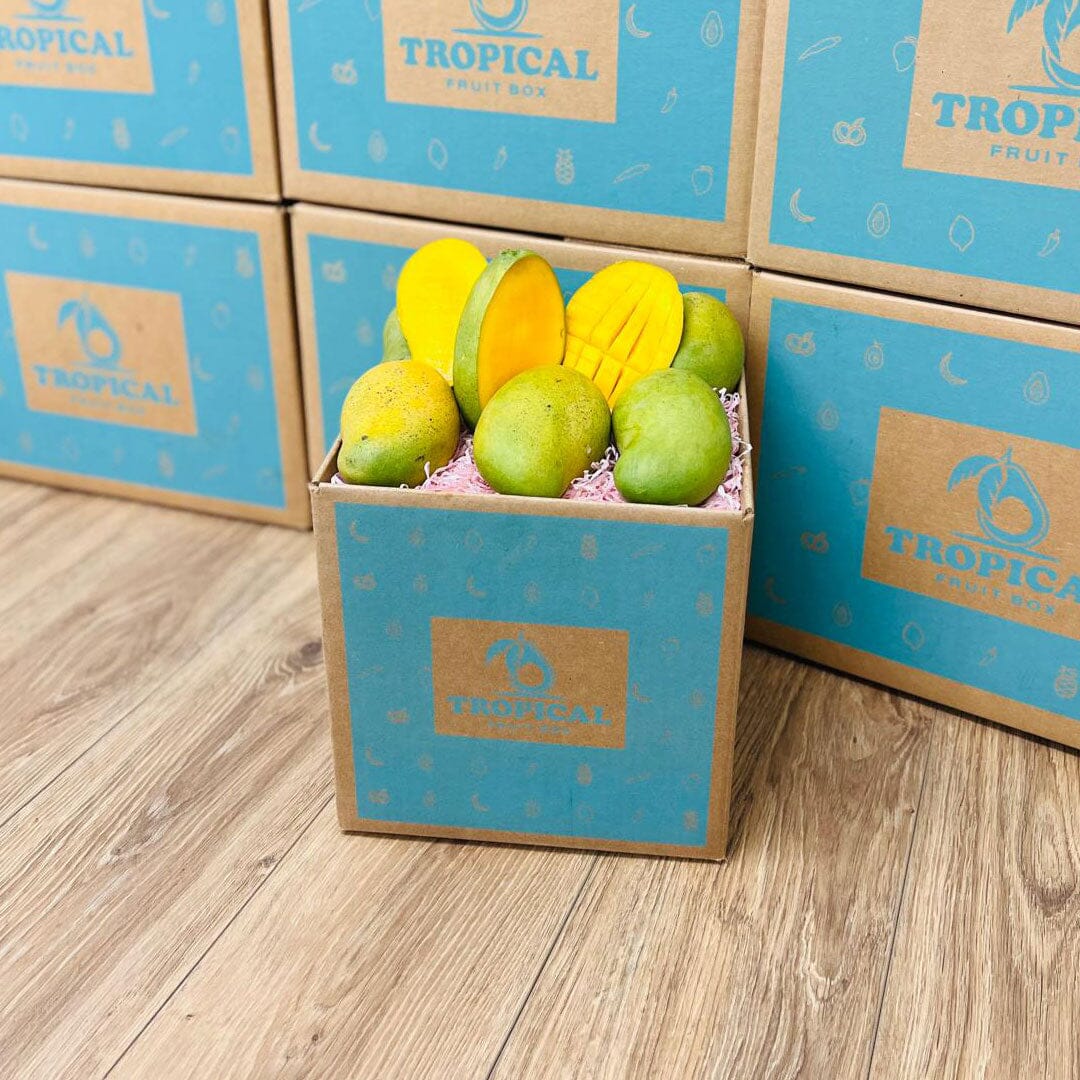 Francine Premium Mango Box GoogleON Tropical Fruit Box 