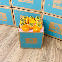 Thumbnail for Fuyu Persimmons Specialty Box Tropical Fruit Box 