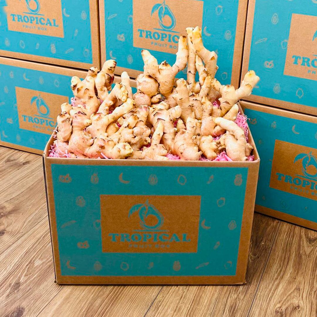 Tropical Ginger Box Produce Box Tropical Fruit Box Large Box 8 lbs 