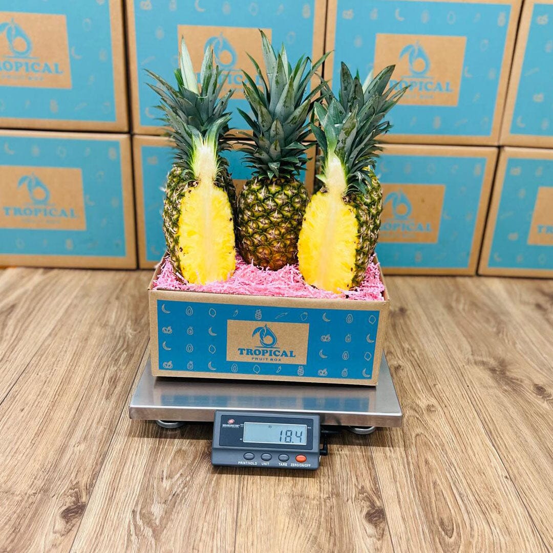 Premium Tropical Golden Pineapple Box Produce Box Tropical Fruit Box 