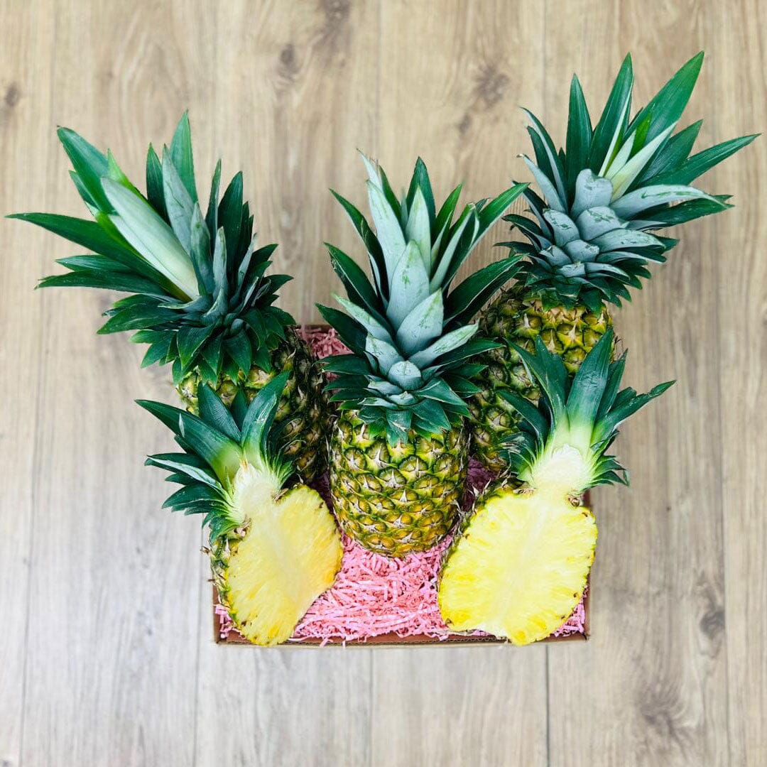 Premium Tropical Golden Pineapple Box Produce Box Tropical Fruit Box 