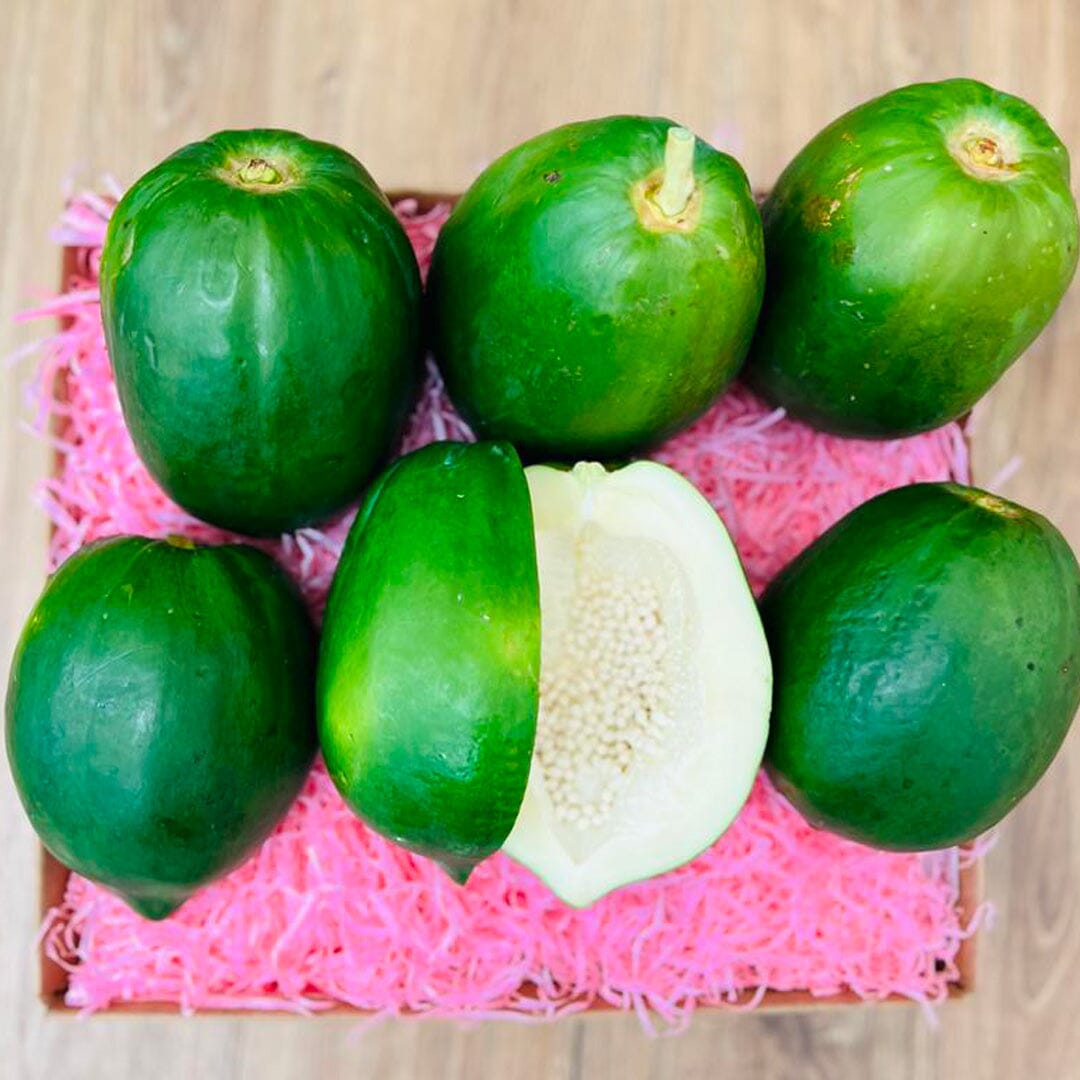 Green Papaya Box Tropical Fruit Box Large 00879502008469
