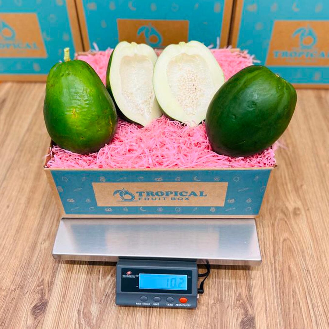 Green Papaya Box Tropical Fruit Box Regular 00879502008452