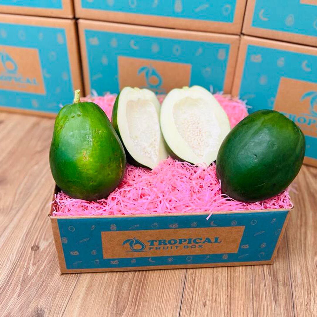Green Papaya Box Tropical Fruit Box Regular 00879502008452