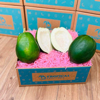 Thumbnail for Green Papaya Box Tropical Fruit Box Regular 00879502008452