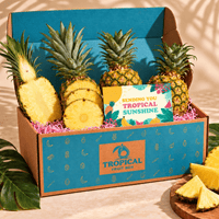 Thumbnail for Honeyglow™ Pineapple GoogleON Tropical Fruit Box 4 ct Sending You Sunshine (Sympathy) 