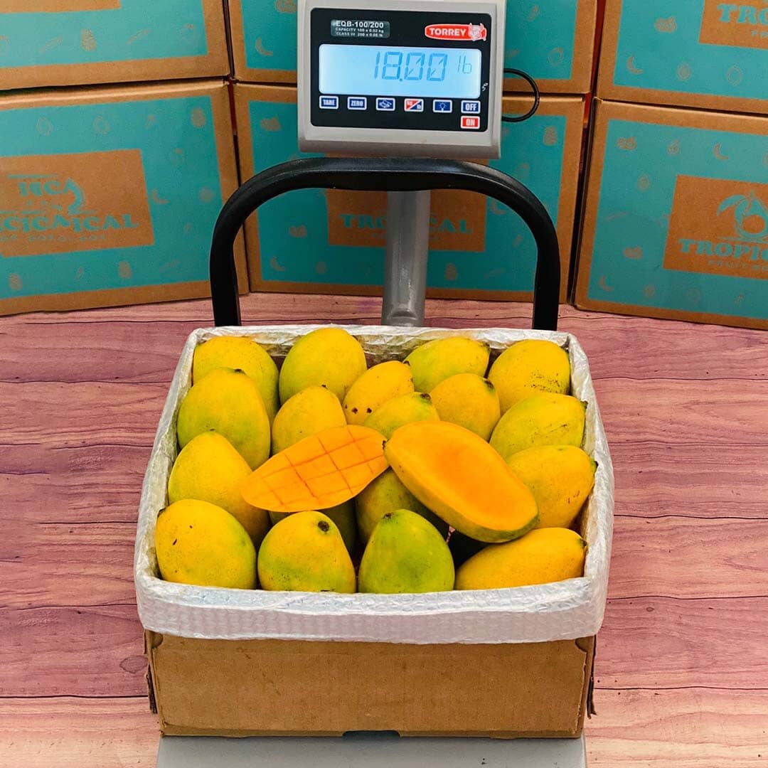 Francine Premium Mango Box - Order the King of Mangos Today - Small Box ...