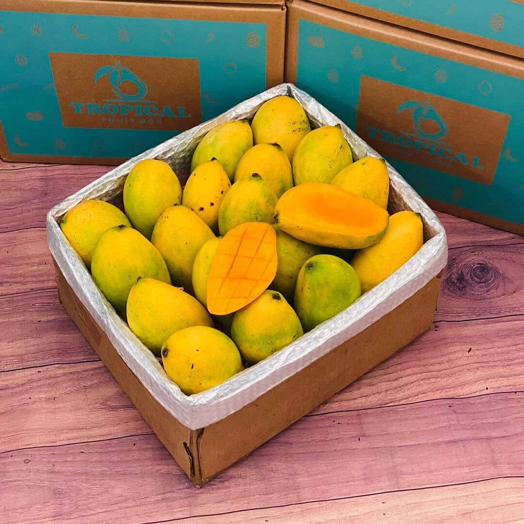 Francine Premium Mango Box - Order the King of Mangos Today - Small Box ...
