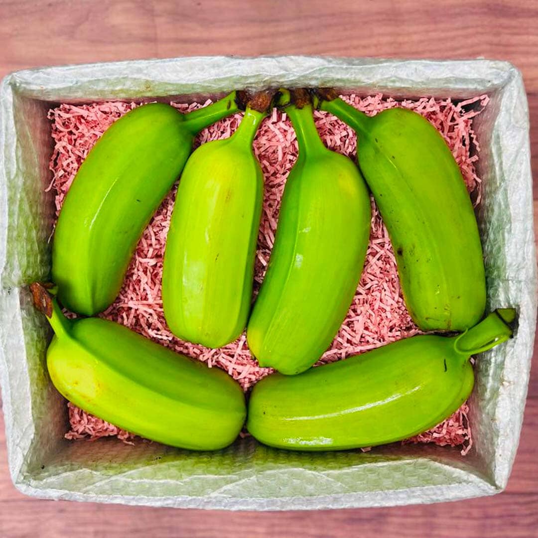 Plantain Ripe Box Hawaiian Plantains Box - Small (5 Pounds)