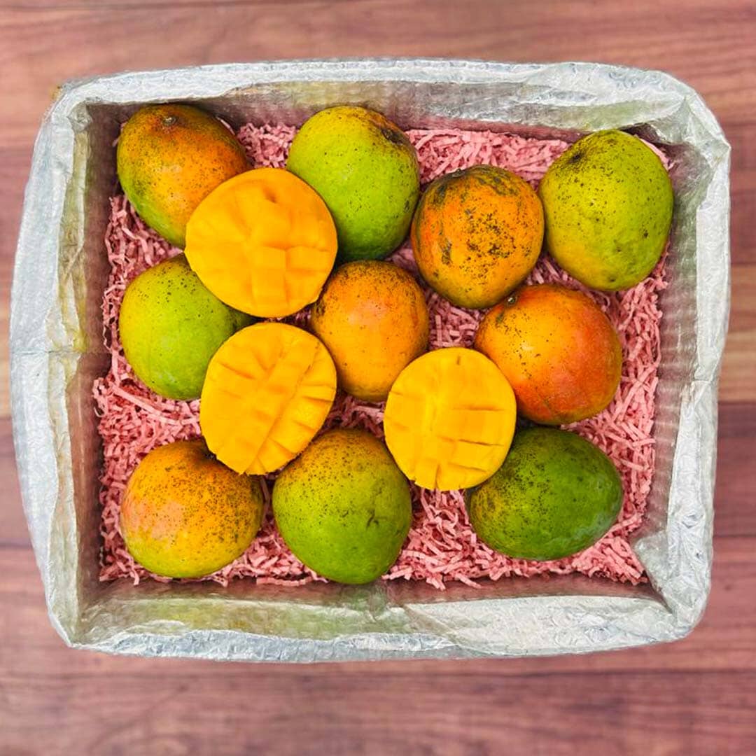 Honey Kiss Mango Box Mangoes Tropical Fruit Box Medium (8 Pounds) 