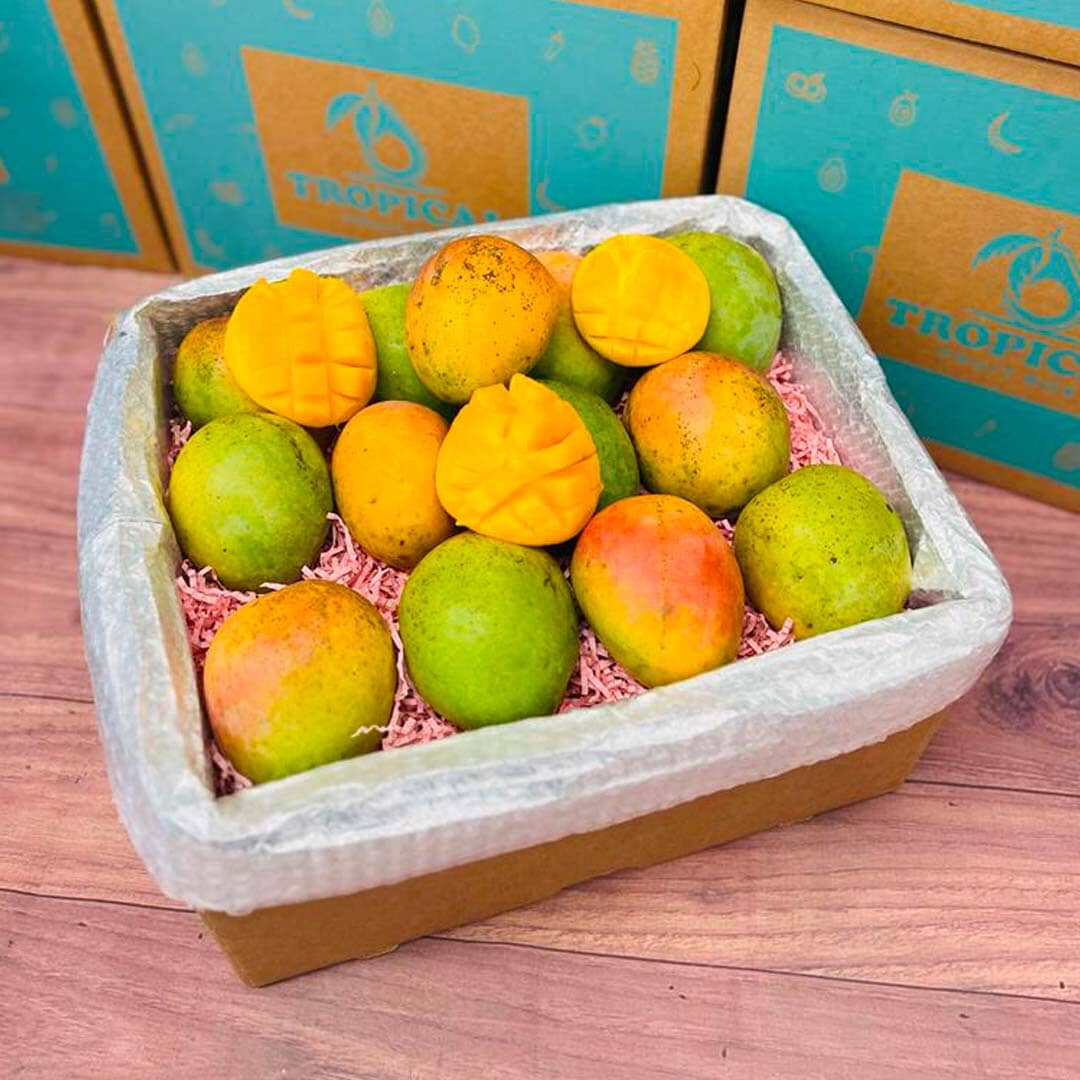 Honey Kiss Mango Box Mangoes Tropical Fruit Box 