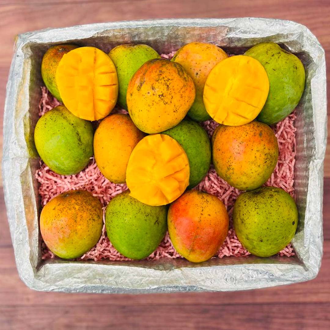 Honey Kiss Mango Box Mangoes Tropical Fruit Box Large (12 Pounds) 