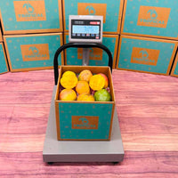 Thumbnail for Honey Kiss Mango Box Mangoes Tropical Fruit Box 