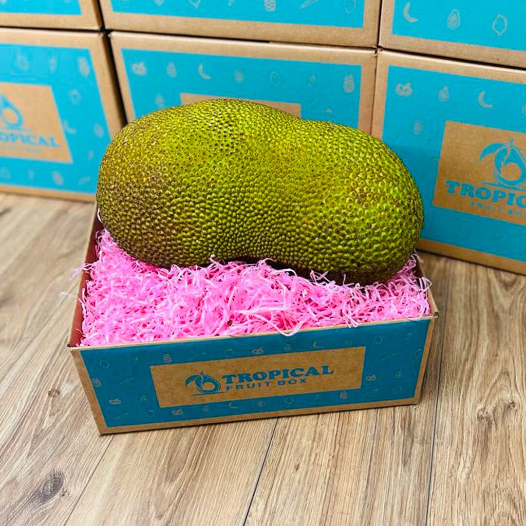 Fresh whole Jackfruit in a Box Jackfruit Tropical Fruit Box 