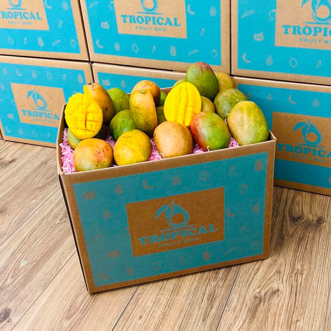 Julie Jamaican Mango Box GoogleON Tropical Fruit Box 