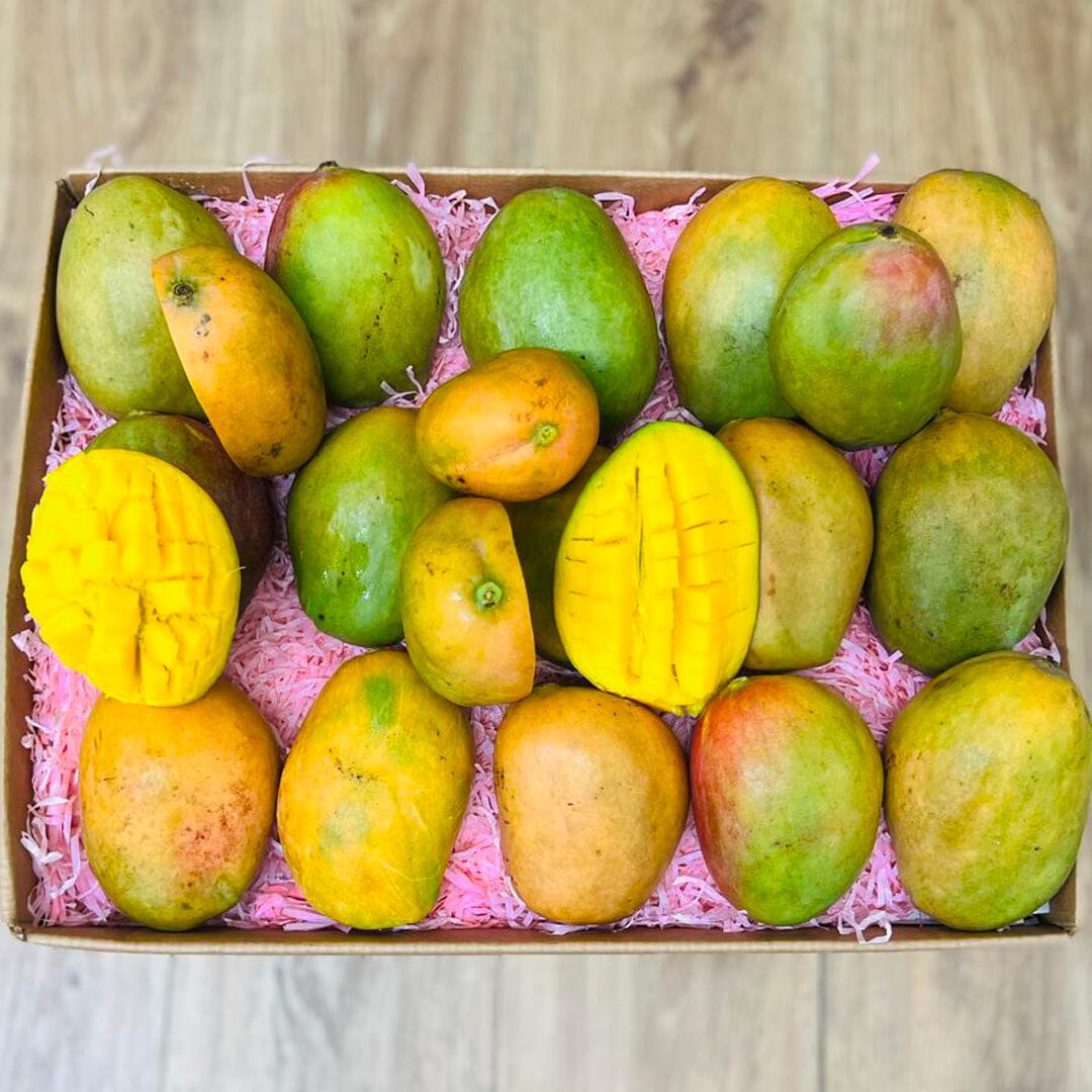Julie Jamaican Mango Box GoogleON Tropical Fruit Box Extra Large (10 lbs) 