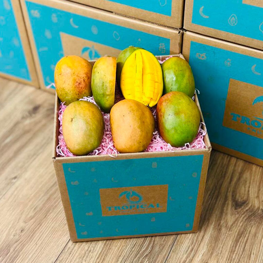 Julie Jamaican Mango Box GoogleON Tropical Fruit Box Small (3 lbs) 