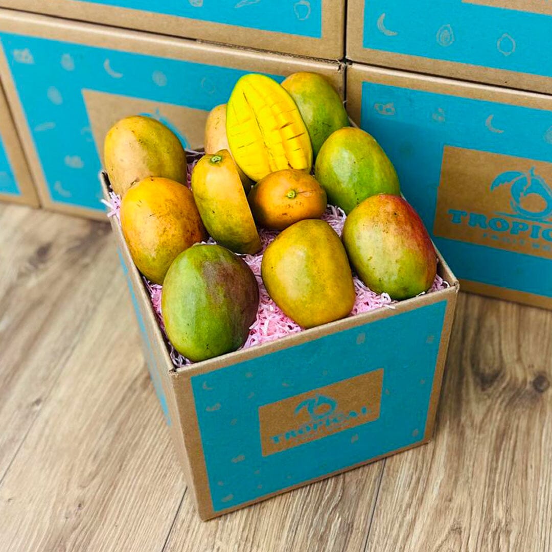Julie Jamaican Mango Box GoogleON Tropical Fruit Box Medium (5 lbs) 