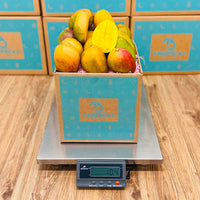 Thumbnail for Julie Jamaican Mango Box GoogleON Tropical Fruit Box 