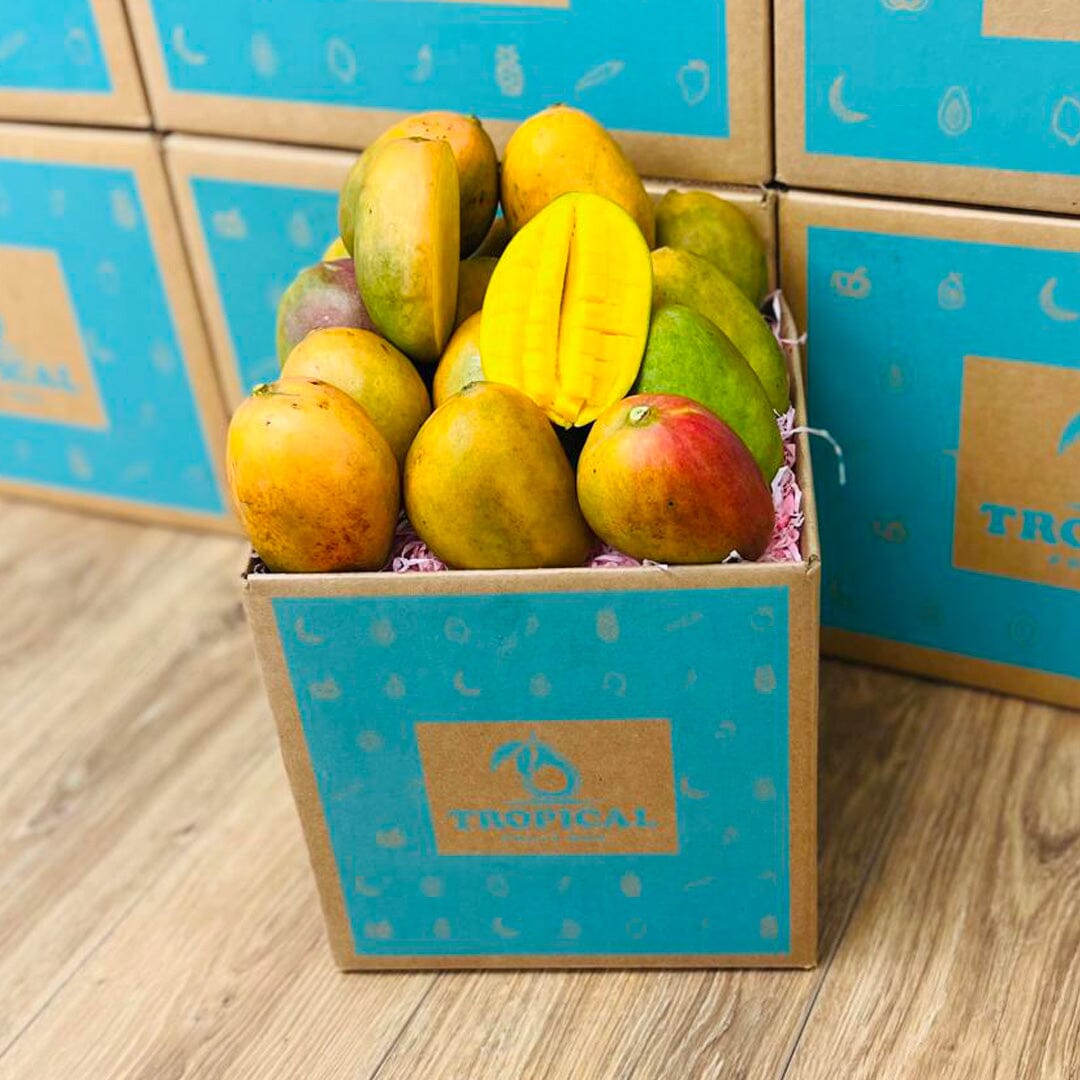 Julie Jamaican Mango Box GoogleON Tropical Fruit Box Large (8 lbs) 