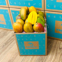 Thumbnail for Julie Jamaican Mango Box GoogleON Tropical Fruit Box Large (8 lbs) 