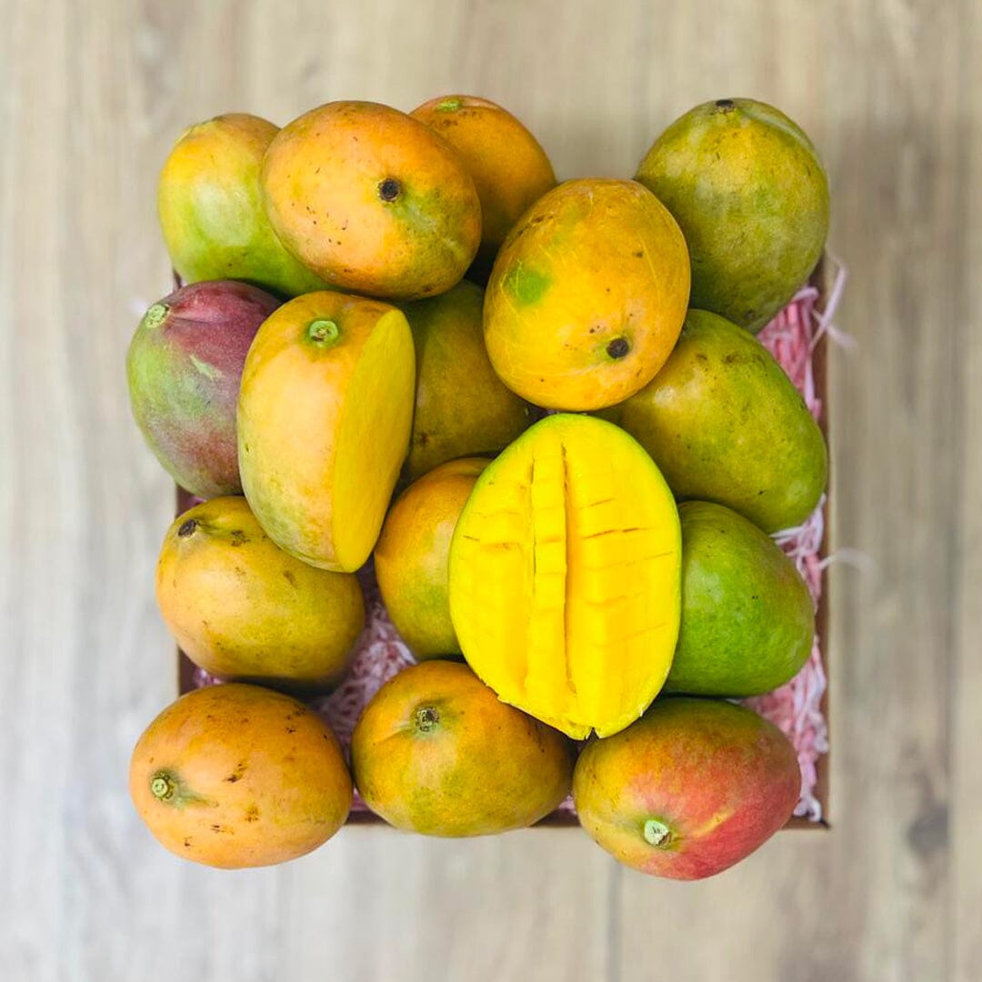 Julie Jamaican Mango Box GoogleON Tropical Fruit Box 