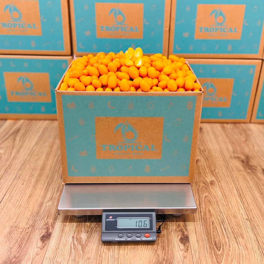 Kumquat 8 lbs